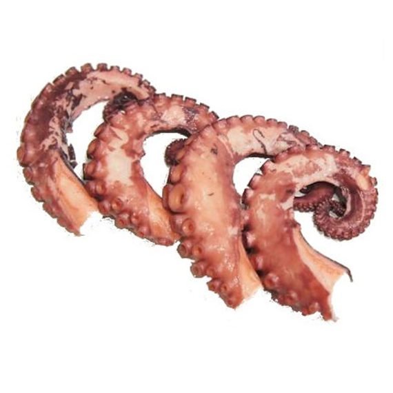 TENTACULO DE LULA
