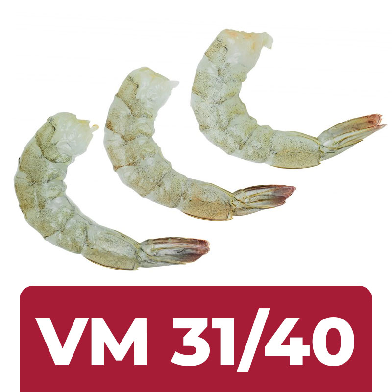 Imagem do produto Camarão Santana VM 31/40