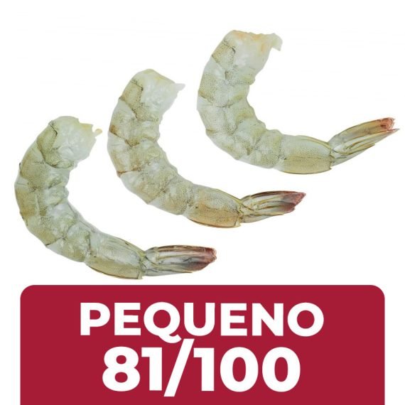 CAMARAO-81-100