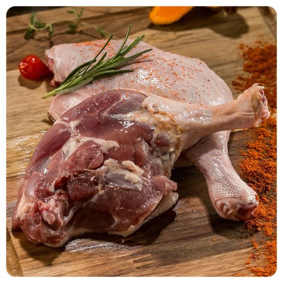 COXA SOBRECOXA DE PATO